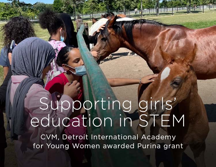 Supporting girls' education in STEM: CVM, Detroit International Academy for Young Women awarded Purina grant