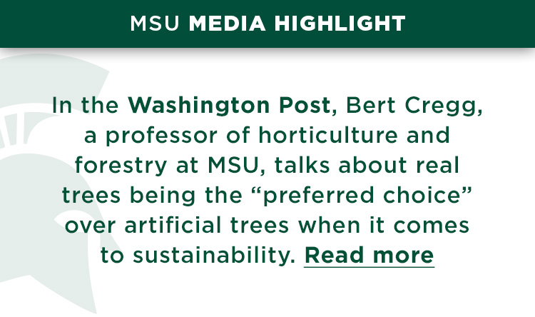 In the Washington Post, Bert Cregg, a professor of horticulture and forestry at MSU, talks about real trees being the “preferred choice” over artificial trees when it comes to sustainability. Read more