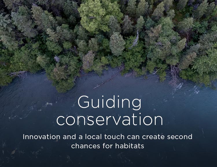 Guiding conservation: Innovation and a local touch can create second chances for habitats