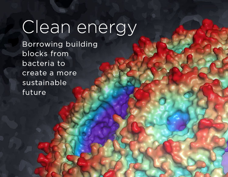 Clean energy: Borrowing building blocks from bacteria to create a more sustainable future