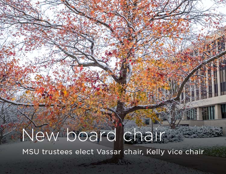 New board chair: MSU trustees elect Vassar chair, Kelly vice chair