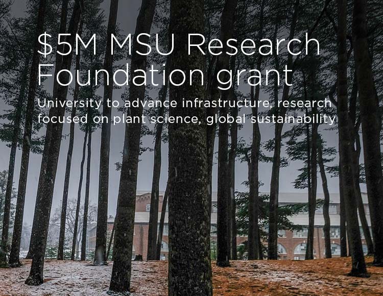 $5M MSU Research Foundation grant: Awards fund infrastructure, research focused on plant science, global sustainability