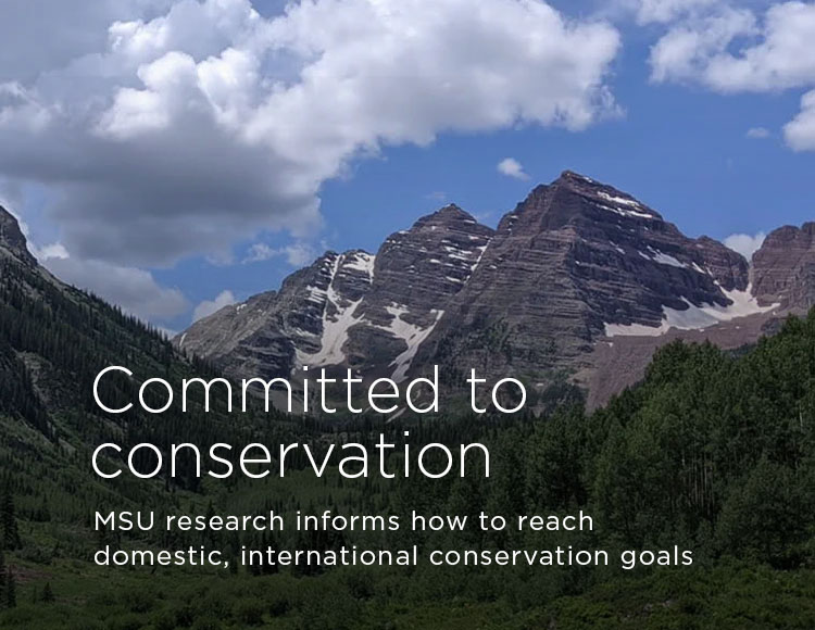 Committed to conservation: MSU research informs how to reach domestic, international conservation goals