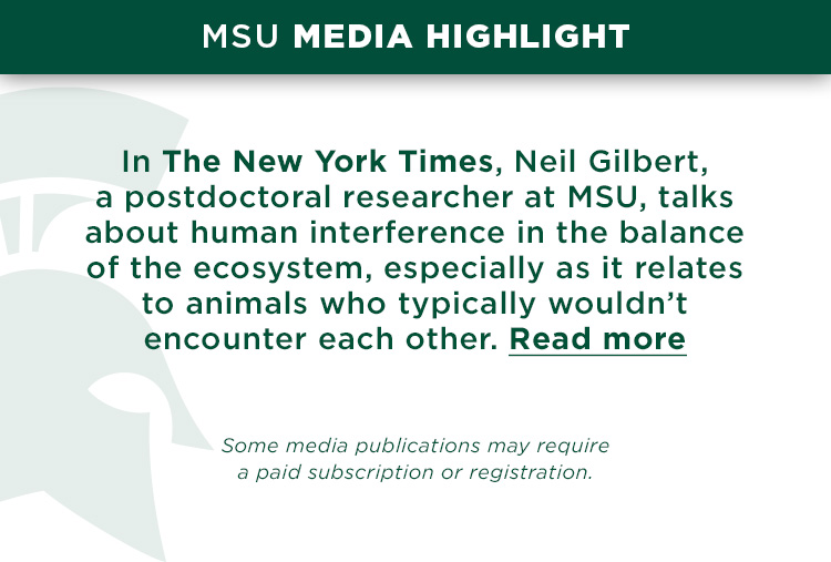 In the New York Times, Neil Gilbert, a postdoctoral researcher at MSU, talks about human interference in the balance of the ecosystem, especially as it relates to animals who typically wouldn’t encounter each other.