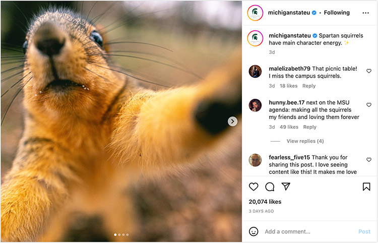 michiganstateu: Spartan squirrels have main character energy. ✨