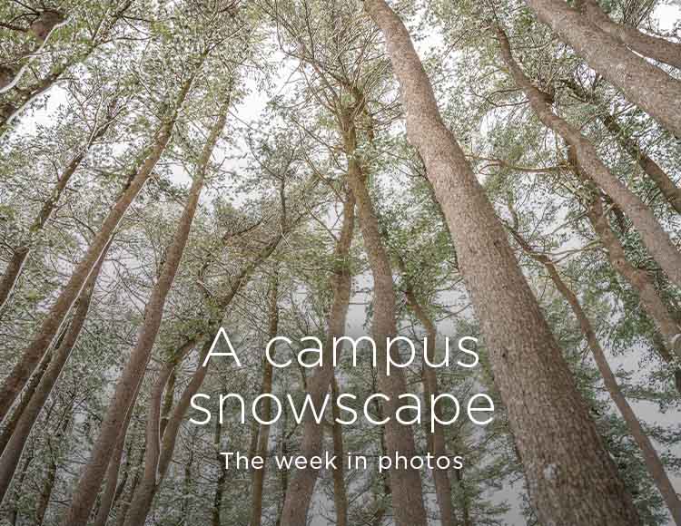A campus snowscape: The week in photos