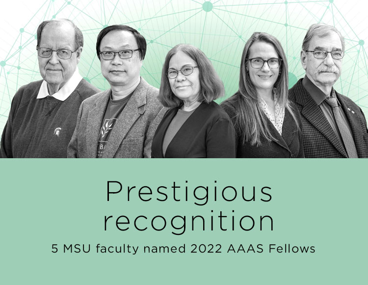 Prestigious recognition: 5 MSU faculty named 2022 AAAS Fellows
