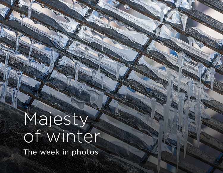 Majesty of winter: The week in photos