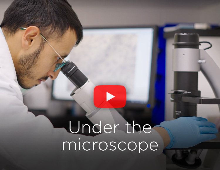Under the Microscope