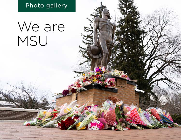 We are MSU (photo gallery)