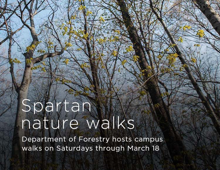 Spartan nature walks: Department of Forestry hosts campus walks on Saturdays through Mar. 18