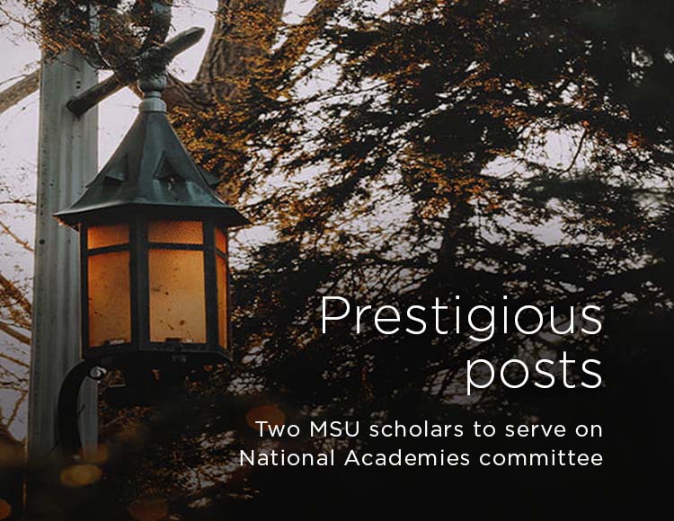 Prestigious posts: Two MSU scholars to serve on National Academies committee