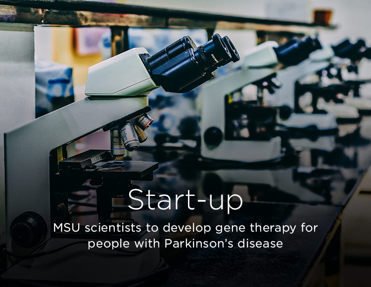 Start-up: MSU scientists to develop gene therapy for people with Parkinson’s disease