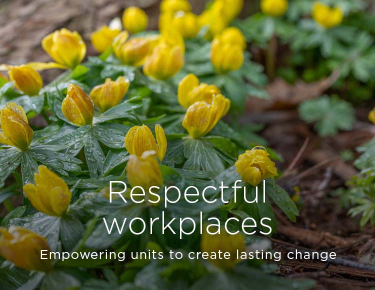 Respectful workplaces: Empowering units to create lasting change