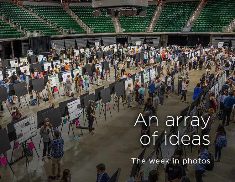 An array of ideas: The week in photos