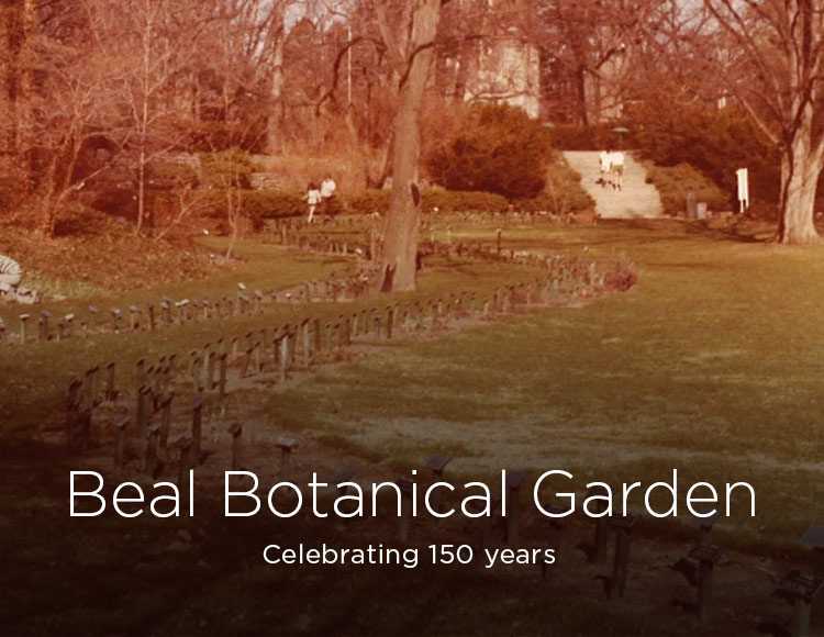 Beal Botanical Garden: Celebrating 150 years