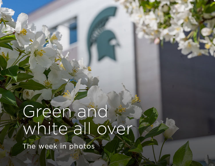 Green and white all over: The week in photos