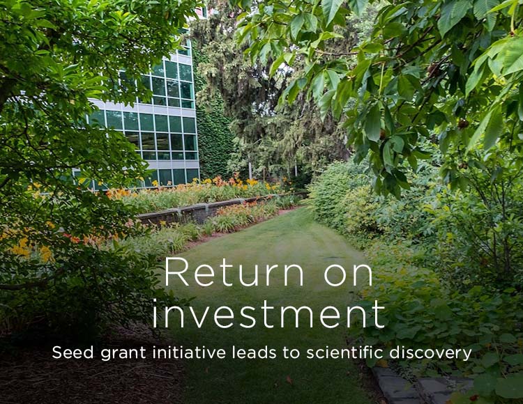 Return on investment: Seed grant initiative leads to scientific discovery