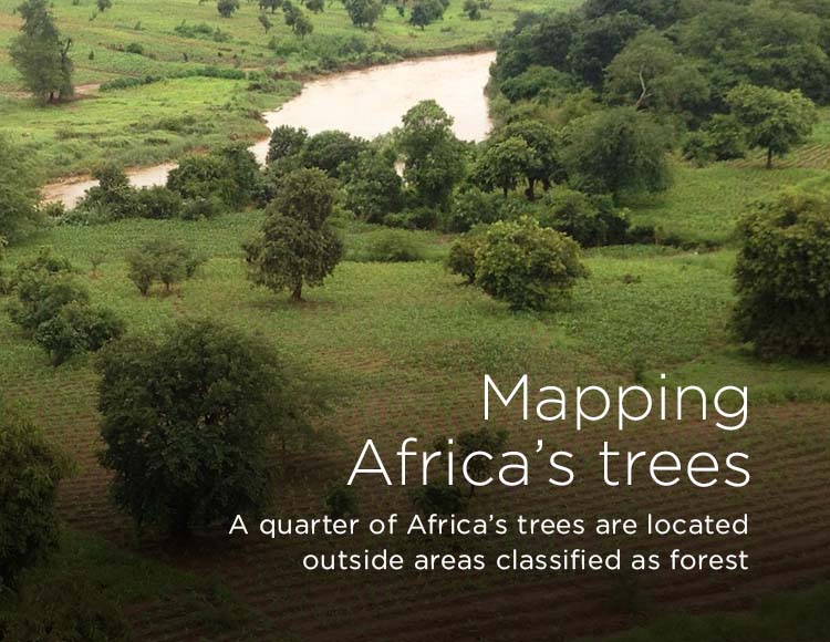 Mapping Africa’s trees: A quarter of Africa’s trees are located outside areas classified as forest