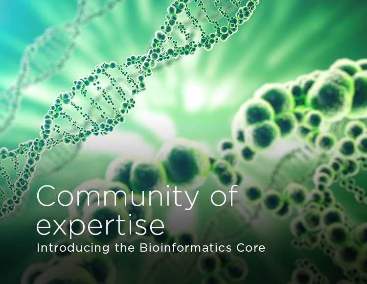 Community of expertise: Introducing the Bioinformatics Core