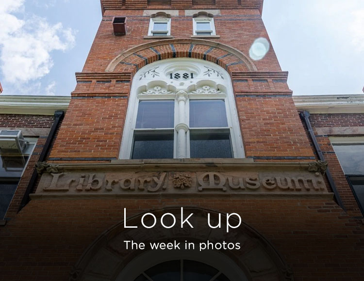 Look up: The week in photos
