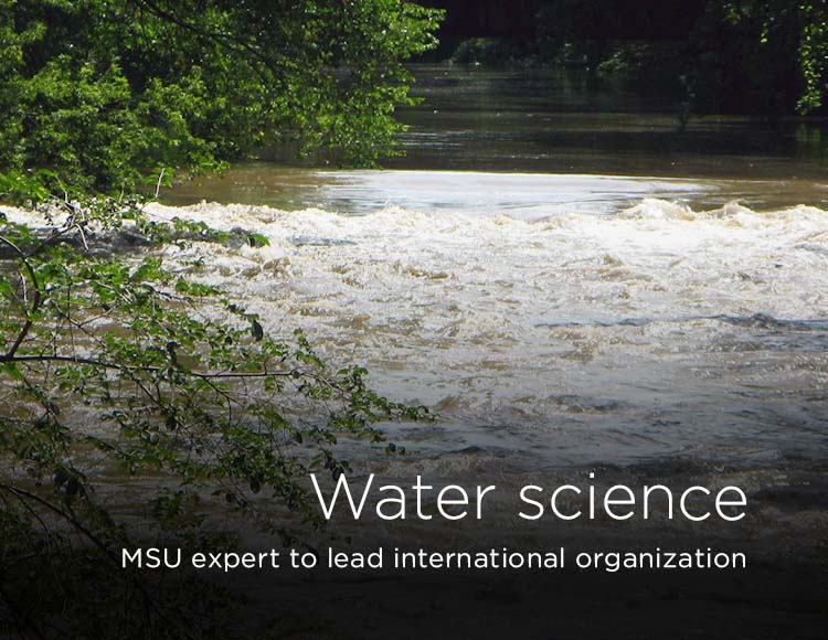 Water science: MSU expert to lead international organization