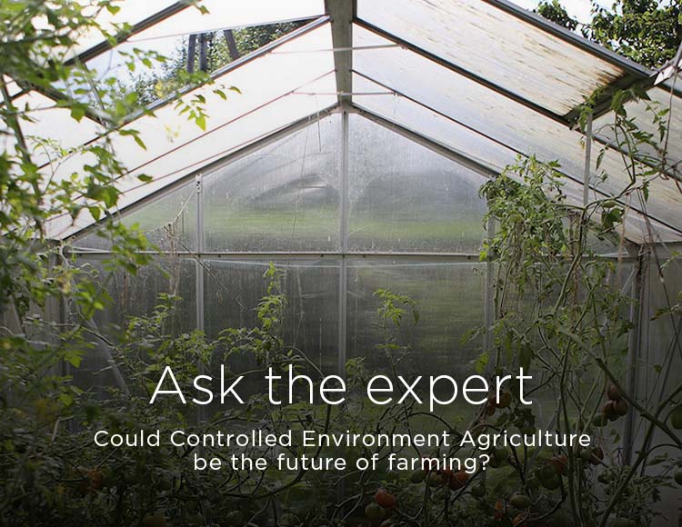 Ask the expert: Could Controlled Environment Agriculture be the future of farming?