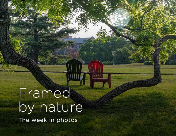 Framed by nature: The week in photos