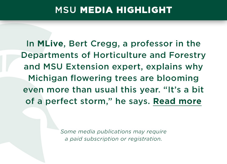 In MLive, Bert Cregg, a professor in the Departments of Horticulture and Forestry and MSU Extension expert, explains why Michigan flowering trees are blooming even more than usual this year. “It’s a bit of a perfect storm,” he says.