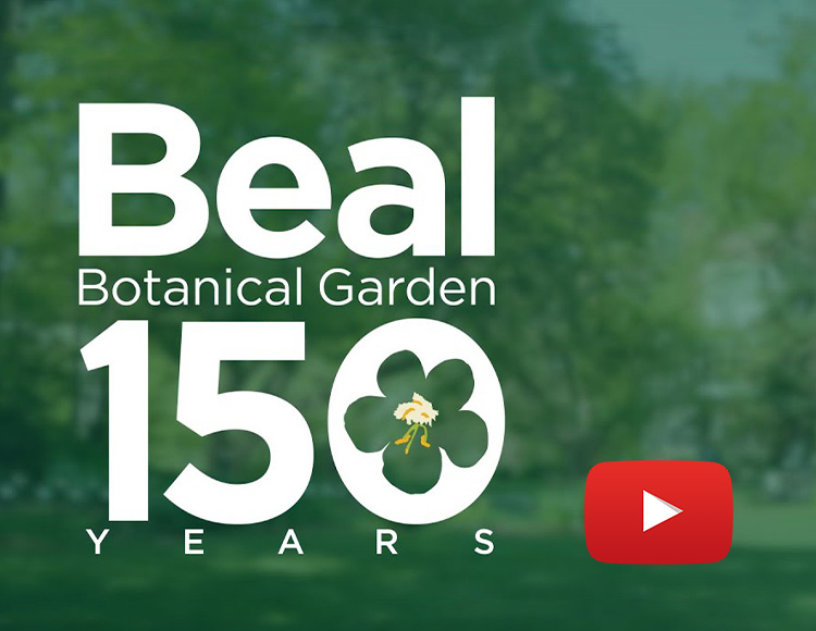 Beal Botanical Garden Interim Director, Alan Prather