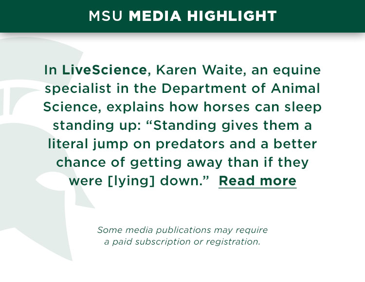 In LiveScience, Karen Waite, an equine specialist in the Department of Animal Science, explains how horses can sleep standing up: “Standing gives them a literal jump on predators and a better chance of getting away than if they were [lying] down.”