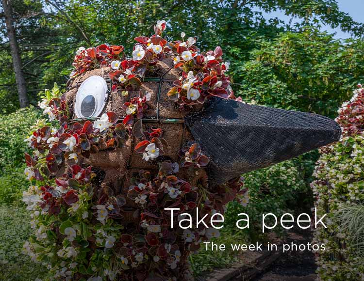 Take a peek: The week in photos