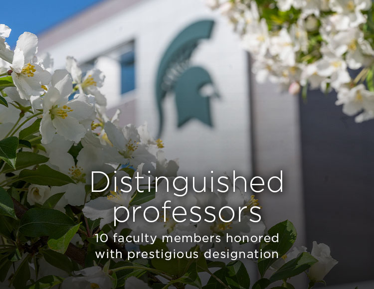 Distinguished professors: 10 faculty members honored with prestigious designation