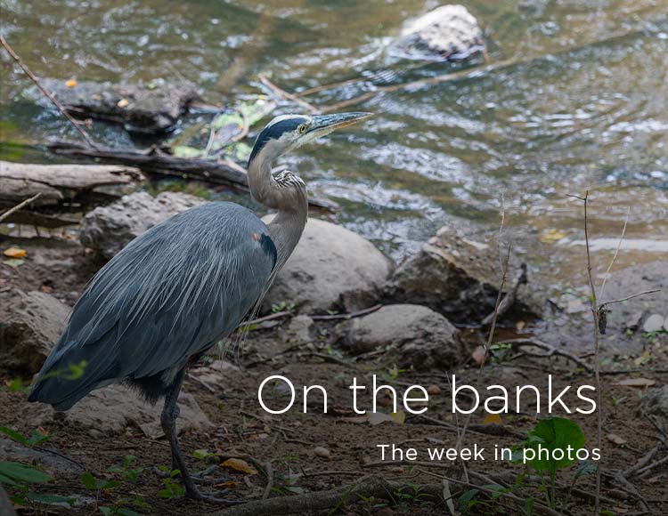 On the banks: The week in photos