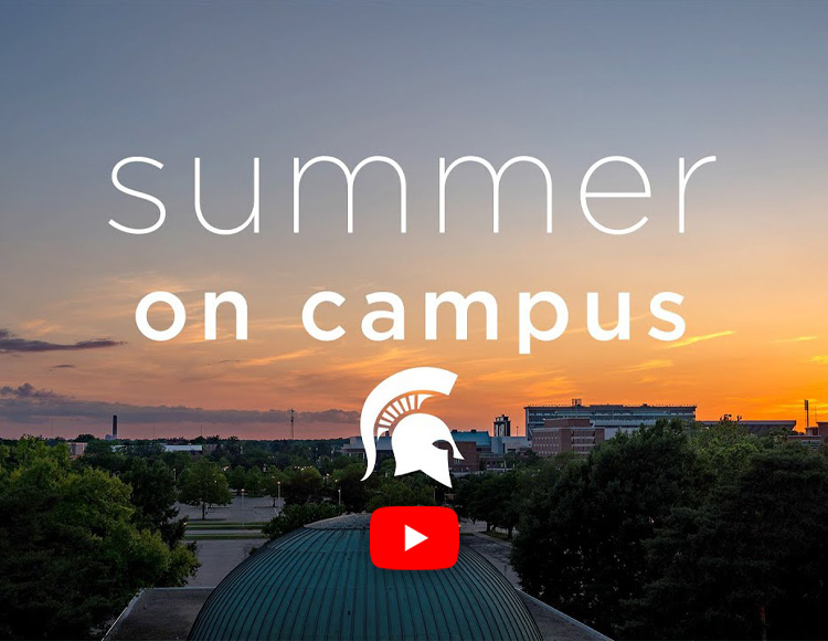 Summer on campus