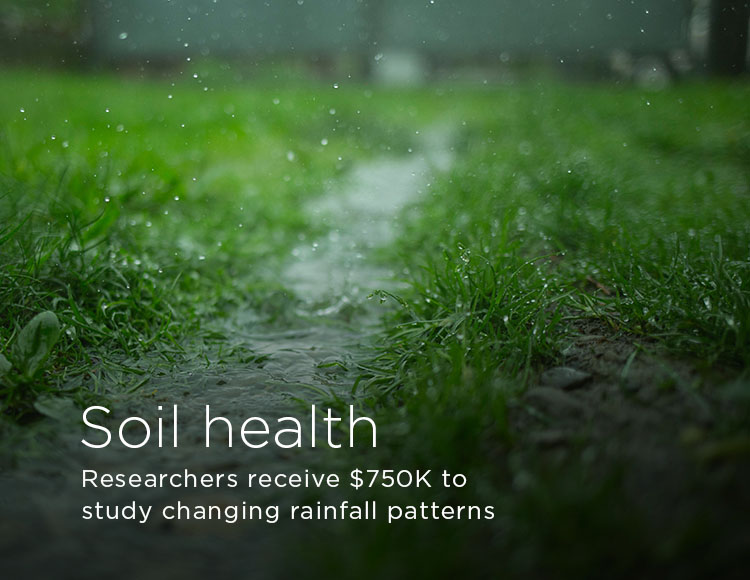 Soil health: Researchers receive $750K to study changing rainfall patterns