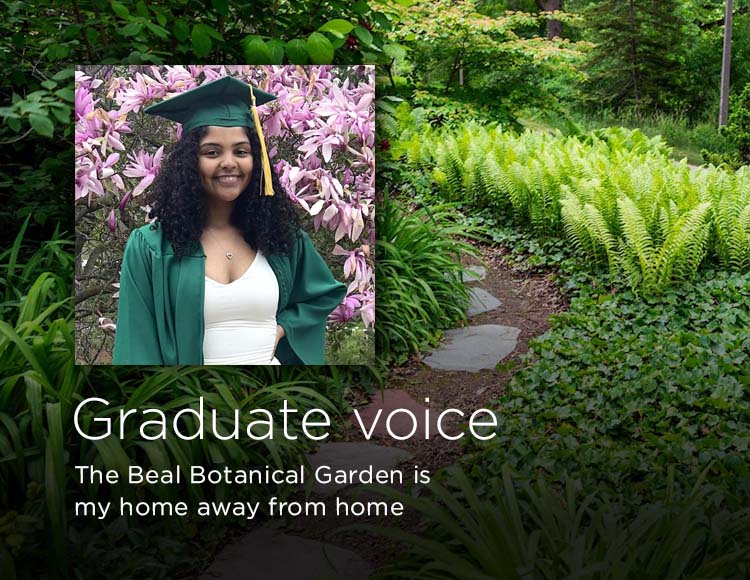 Graduate voice: The Beal Botanical Garden is my home away from home