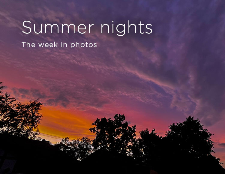 Summer nights: The week in photos 