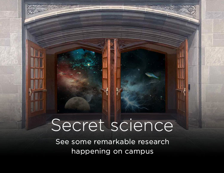Secret science: See some remarkable research happening on campus