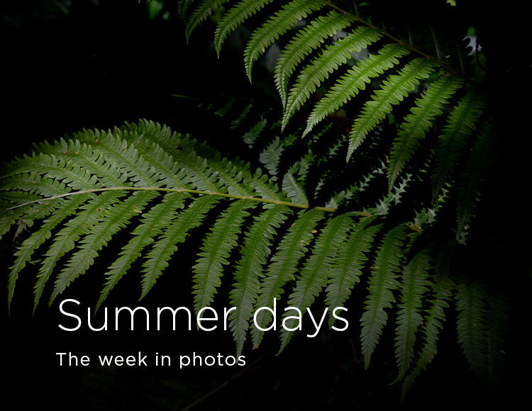 Summer days: The week in photos