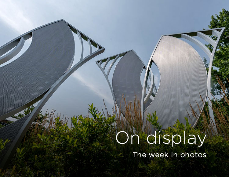 On display: The week in photos