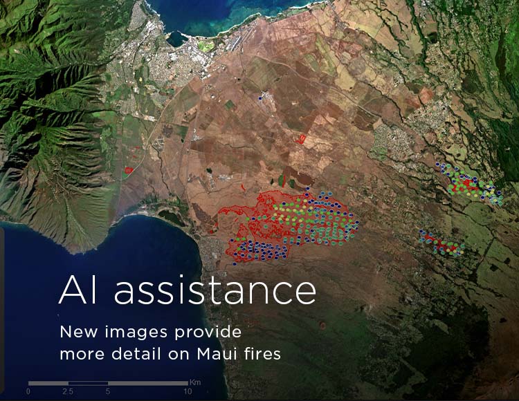 AI assistance: New images provide more detail on Maui fires