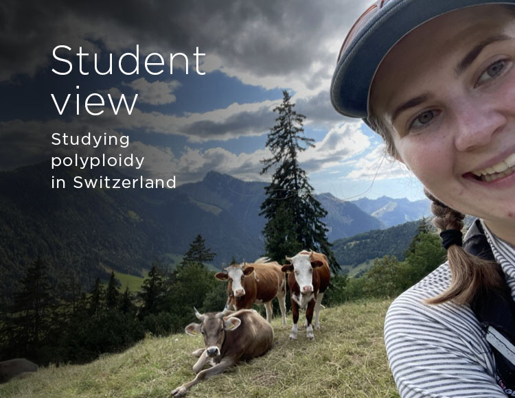 Student view: Studying polyploidy in Switzerland