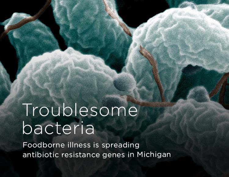 Troublesome bacteria: Foodborne illness is spreading antibiotic resistance genes in Michigan