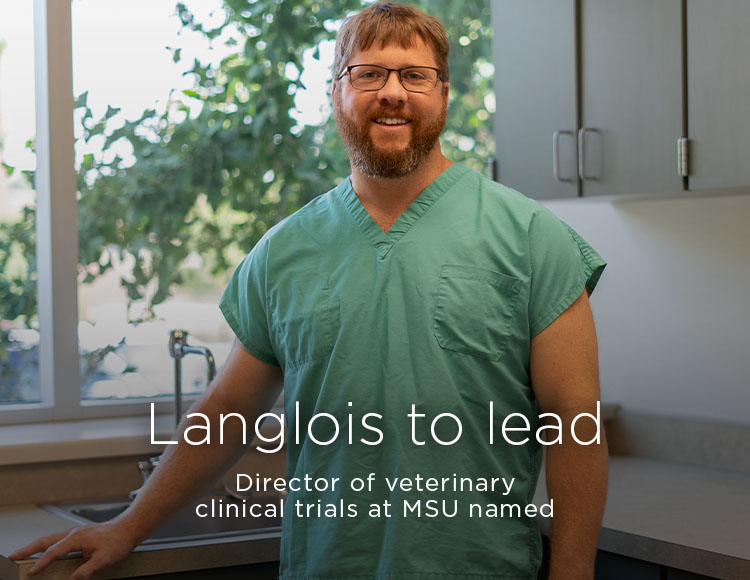 Langlois to lead: Director of veterinary clinical trials at MSU named