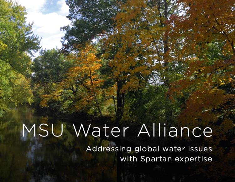 MSU Water Alliance: Addressing global water issues with Spartan expertise