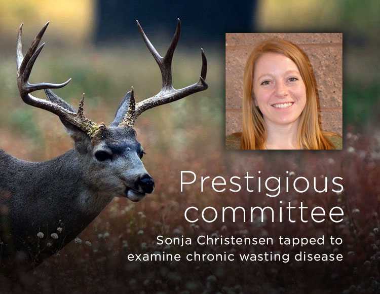 Prestigious committee: Sonja Christensen tapped to examine chronic wasting disease
