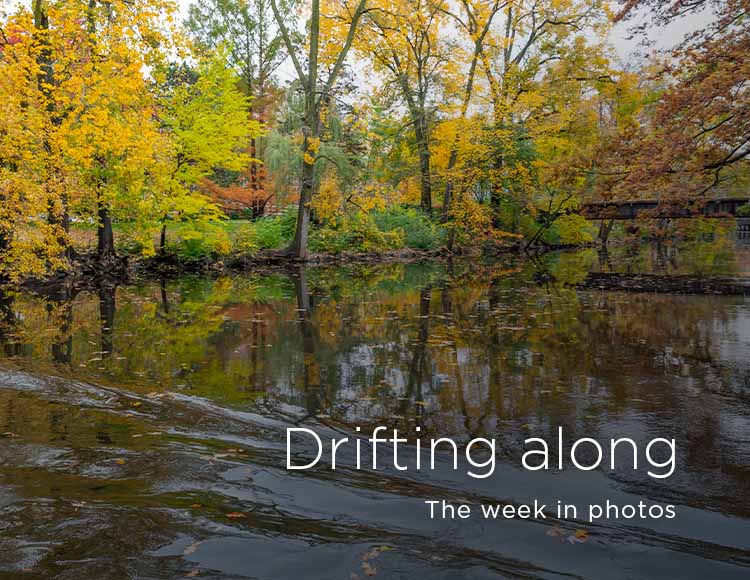 Drifting along: The week in photos