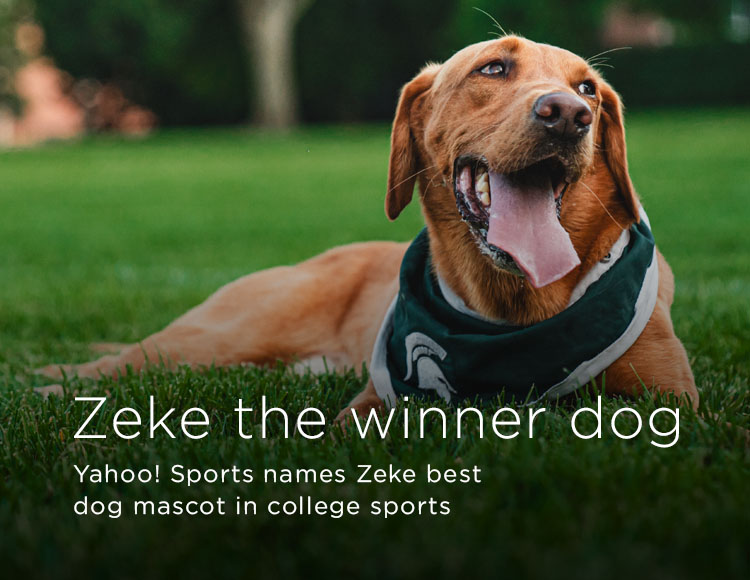 Zeke the winner dog: Yahoo! Sports names Zeke best dog mascot in college sports