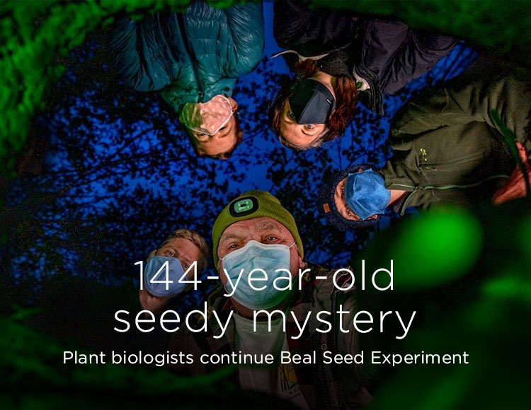 144-year-old seedy mystery: Plant biologists continue Beal Seed Experiment